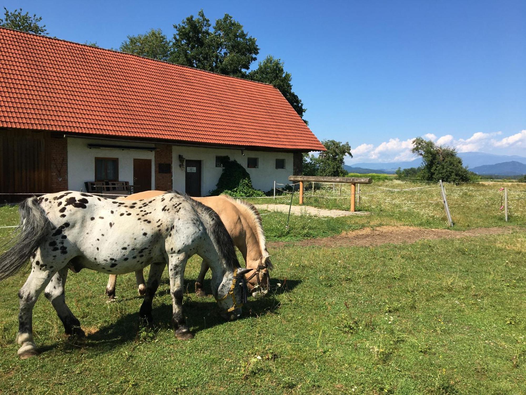Skorianzhof Hotel Eberndorf Kültér fotó
